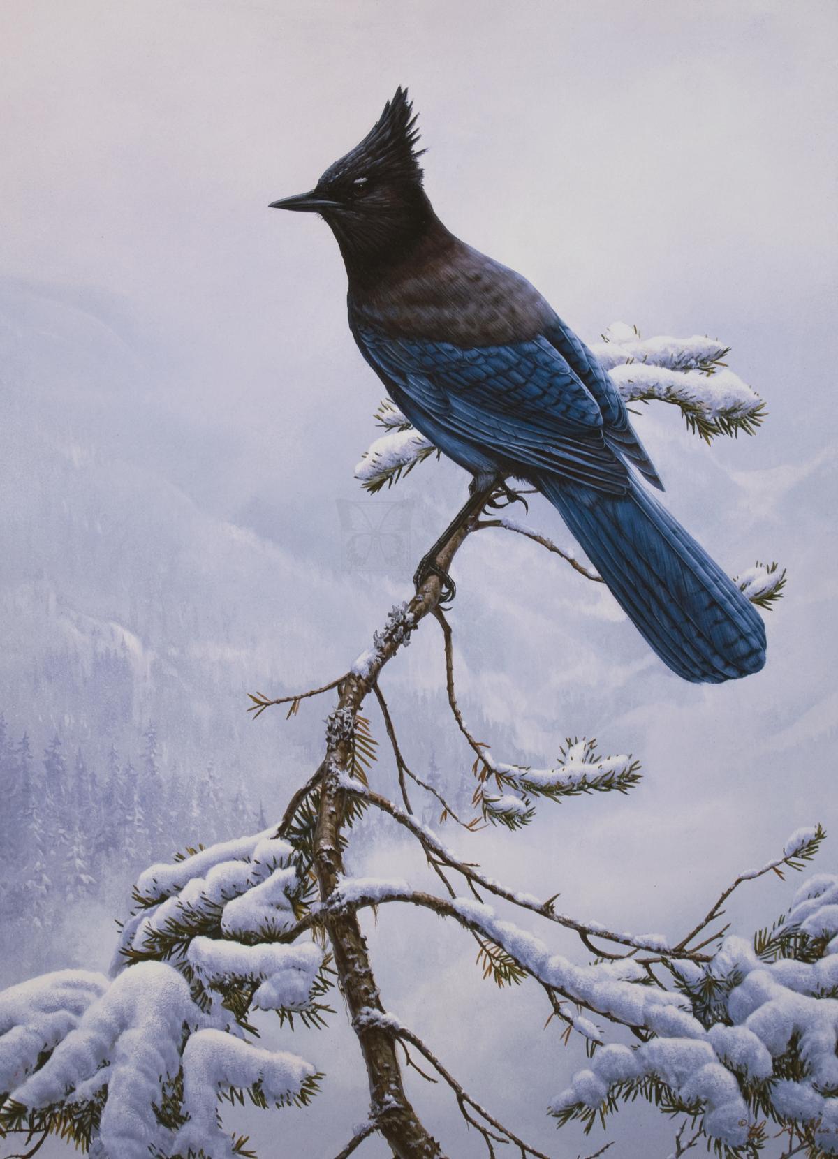  | Wallhanging by Luke Raffin | Artists for Conservation