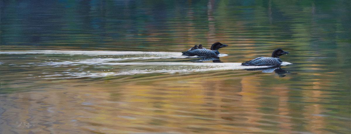 Loon Family | Wallhanging by Luke Raffin | Artists for Conservation